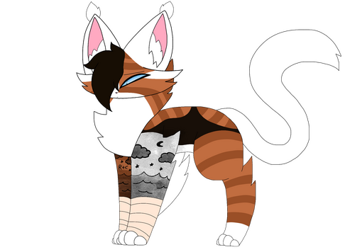 Cat/Mimimal markings