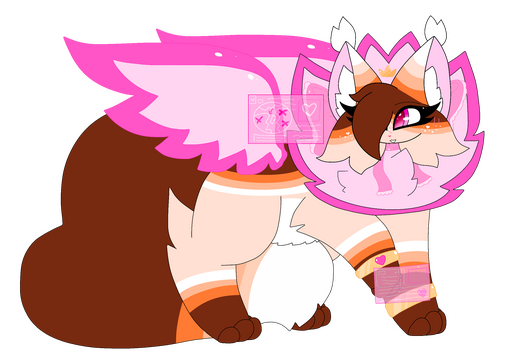 Wings/Complex markings/Different species